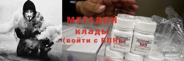 стаф Алзамай