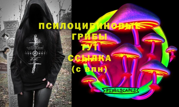 гидра Алексеевка
