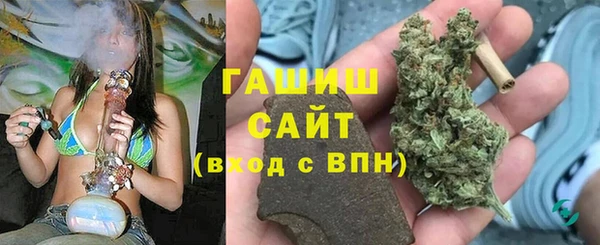 стаф Алзамай