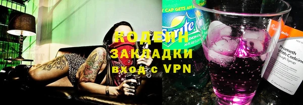 стаф Алзамай